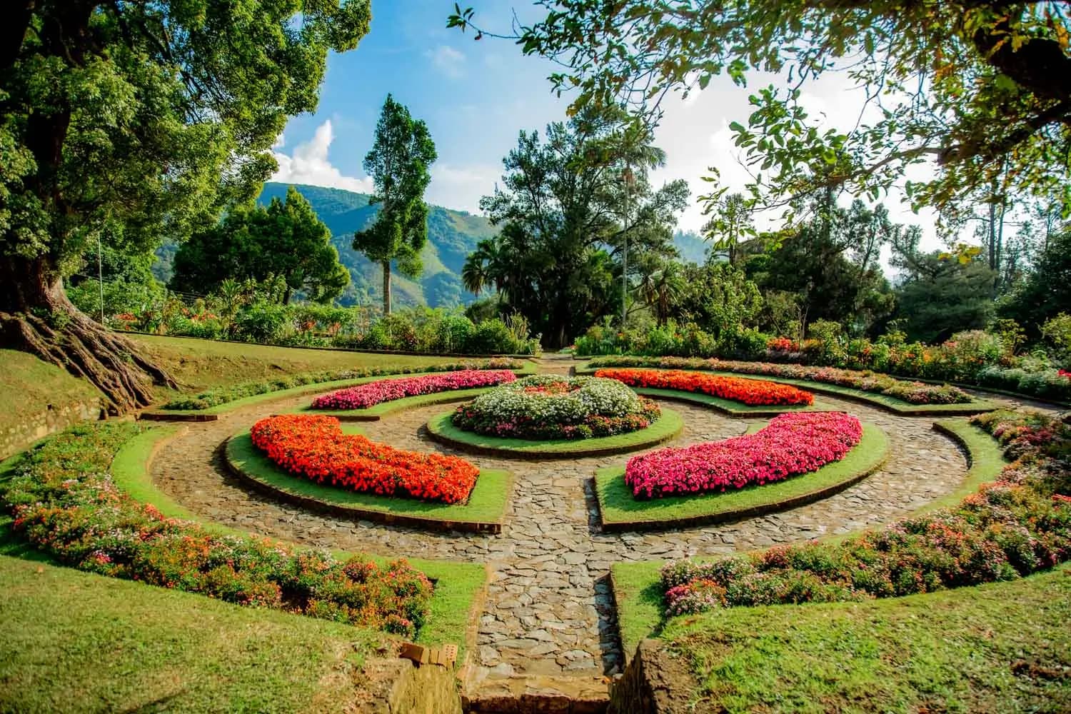 Hakgala Botanical Garden